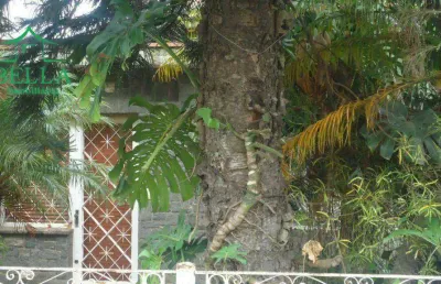 Terreno residencial à venda, vila pirituba, são paulo.