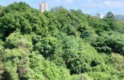 Apartamento com 2 dormitórios à venda, 46 m² por r$ 370.000,00 - pirituba - são paulo/sp
