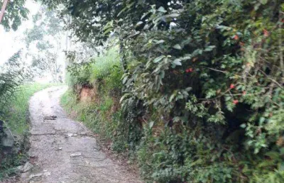Terreno à venda, 14431 m² por r$ 2.800.000,00 - ipês (polvilho) - cajamar/sp