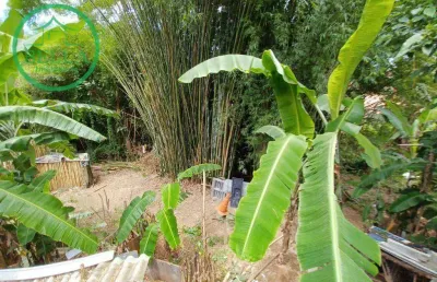 Terreno à venda, 3523 m² por r$ 1.000.000,00 - jardim belizário - cotia/sp