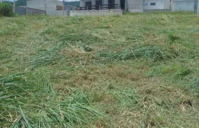 Terreno de 230m² em bairro planejado e com comércio local próximo