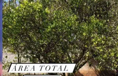 Chácara com 1 dormitório à venda, 1565 m² por r$ 550.000,00 - panorama (polvilho) - cajamar/sp