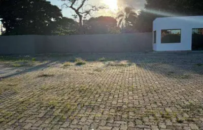 Terreno para alugar, 700 m² por r$ 28.000,00/mês - vila jaguara - são paulo/sp