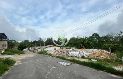 Terreno à venda na Rua Raimundo Pinheiro, 09, Novo Aleixo, Manaus