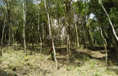 Terreno condomínio rural para venda em rancho queimado, centro