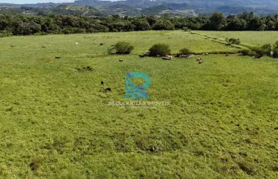 Fazenda 218 hectares em santo antônio da patrulha-rs