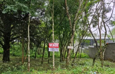 Terreno à venda, 480 m² por r$190.000,00 - guatupe - são josé dos pinhais/pr
