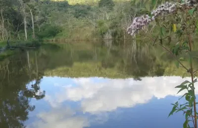 Vende-se uma fazenda em ouro branco/mg para preservação.