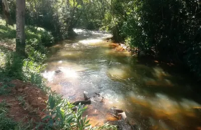 Fazenda à venda na Zona Rural, Piranga 