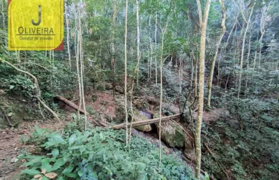 Sítio de 6,3ha com chalé e 2 açudes à 12km de igrejinha - (no maracujá-br 267).
