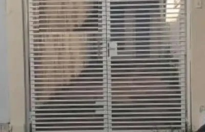 Casa com 2 quartos para alugar no Centro, São Carlos 
