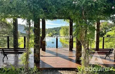 Terreno à venda 409.98m², colônia dona luíza, ponta grossa - pr