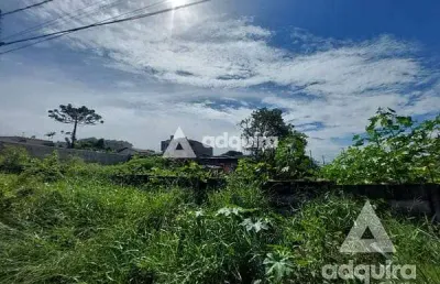 Terreno à venda na Rua Raimundo Correia, Oficinas, Ponta Grossa