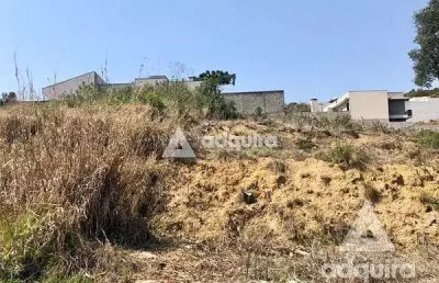 Terreno à venda 802.26m², estrela, ponta grossa - pr