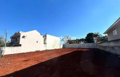 Terreno à venda 591m², colônia dona luíza, ponta grossa - pr