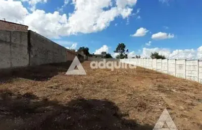 Terreno à venda e locação 1000m², oficinas, ponta grossa - pr