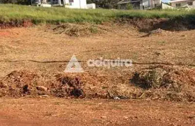 Terreno à venda na Rua Tomio Kawamura, Estrela, Ponta Grossa