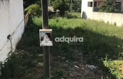 Terreno à venda 360m², jardim carvalho, ponta grossa - pr