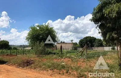 Terreno à venda na Rua Bem-te-vi, Piriquitos, Ponta Grossa