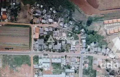 Terreno à venda na Avenida Noroeste, Piriquitos, Ponta Grossa