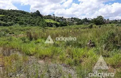 Terreno à venda 515.27m², estrela, ponta grossa - pr