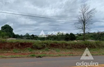 Terreno à venda 8952m², cará-cará, ponta grossa - pr
