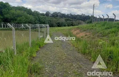 Chácara à venda 6750m², periquitos, ponta grossa - pr