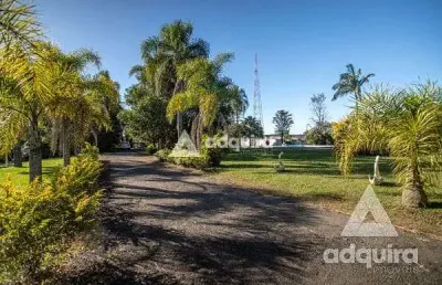 Chácara para locação 24000m², chapada, ponta grossa - pr