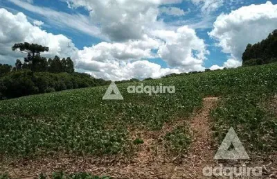 Chácara / sítio à venda na Estrada Laguinho, Centro, Palmeira