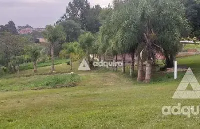 Chácara à venda 12000m², cará-cará, ponta grossa - pr