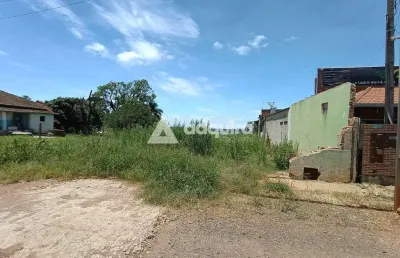 Terreno à venda na Rua Antonina Szathowski, Piriquitos, Ponta Grossa