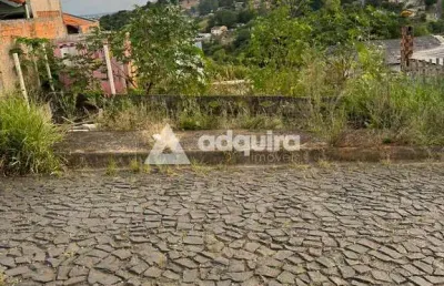 Terreno à venda na Rua Maria Bernadete Oliveira Silveira, Uvaranas, Ponta Grossa