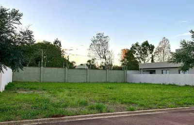 Terreno à venda, condomínio terras alphaville, jardim carvalho, ponta grossa, pr