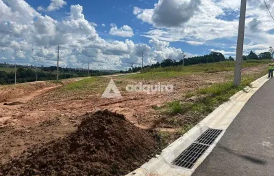Terreno à venda, jardim carvalho, jardim alpha, ponta grossa, pr