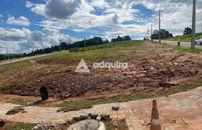 Terreno à venda, jardim carvalho, condomínio jardim alpha, ponta grossa, pr