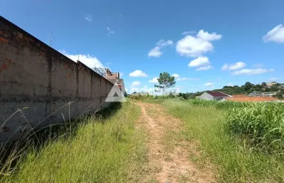 Terreno à venda na Rua Capitão Benedito Lopes de Bragança, Estrela, Ponta Grossa