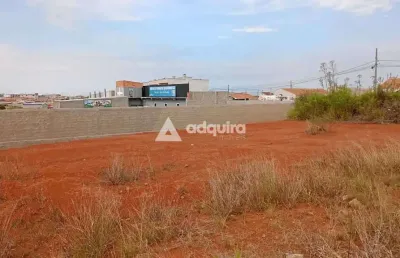 Terreno à venda no condomínio habitacional nova, ponta grossa, pr