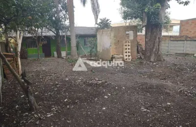 Terreno à venda, oficinas, comercial ou residencial, ponta grossa, pr