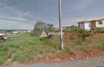 Terreno à venda na Rua Cânion São Jorge, Contorno, Ponta Grossa
