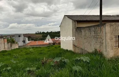Terreno à venda na Rua Orfile Angelina Passetti, Neves, Ponta Grossa