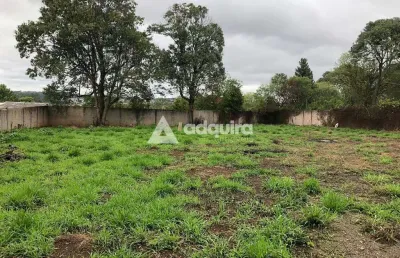 Terreno à venda na Rua José Koteski, Cará-cará, Ponta Grossa
