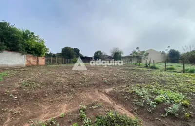 Terreno à venda, colônia dona luíza, ponta grossa, pr