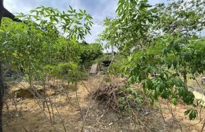 Terreno à venda no Gávea, Coronel Fabriciano 