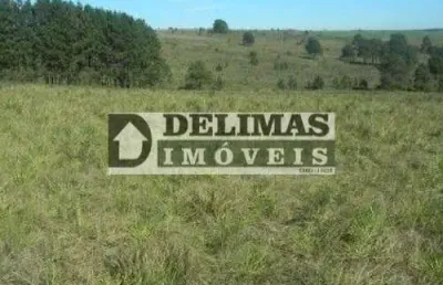 1416 - terreno rural com 732,194 m² / 30,25 alqueires em são luiz do purunã - balsa nova