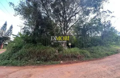 Terreno à venda, 600 m² por r$ 79.000,00 - condomínio campestre guadalajara (barro vermelho) - grav