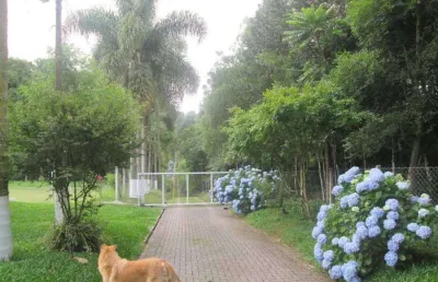 Chácara / sítio com 1 quarto à venda na zona rural, são josé dos pinhais , 4990 m2 por r$ 686.000