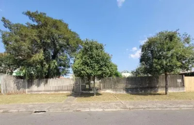 Terreno comercial para locação, boqueirão, curitiba.