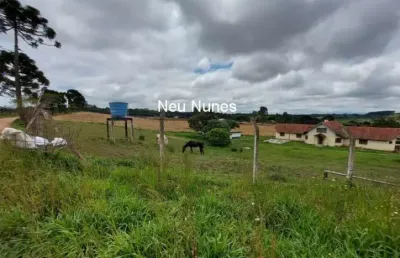 Chácara / sítio com 3 quartos à venda na Rua Felipe Rendoke, Contenda, São José dos Pinhais