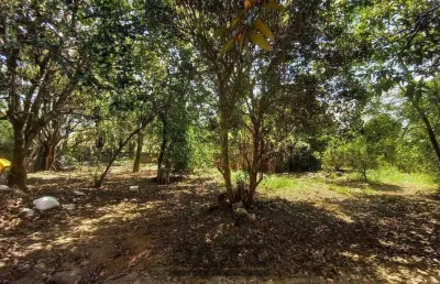 Terreno à venda -1500m2, plano-  village campinas, campinas -