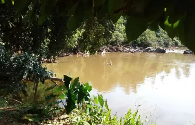Chácara à venda - loteamento residencial entre verdes (sousas), campinas - 5.227,8m2  - 3 quartos